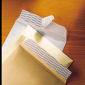 Caja de 100 bolsas blancas 370x450