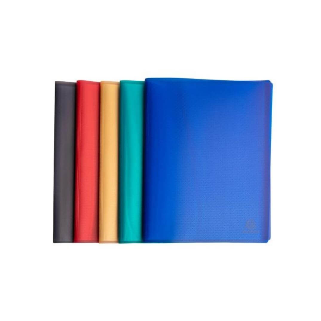 Carpetes de 50 fundes reciclades A4 Assortits