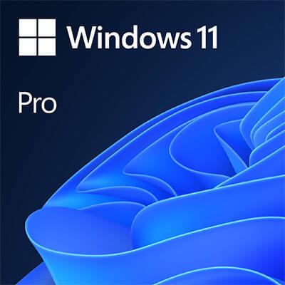 Licencia Windows 11 Pro 64B ESP OEM DVD