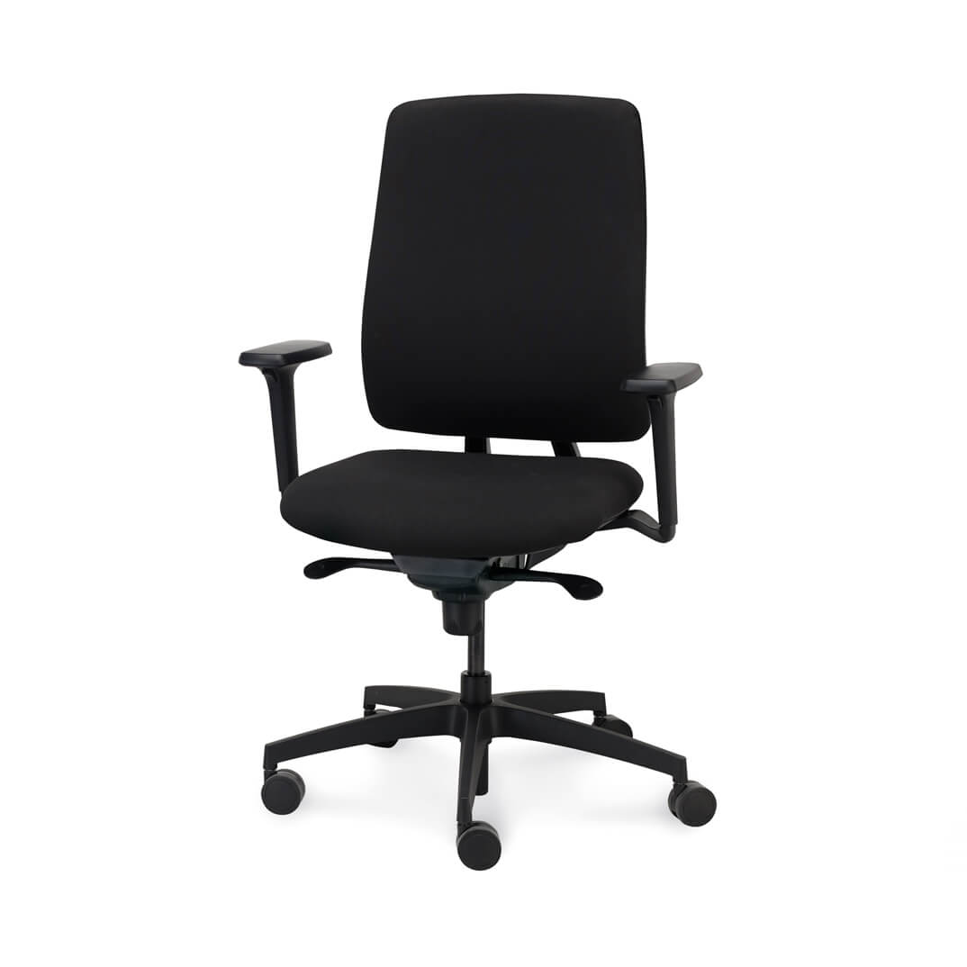 Cadira ABSOLUTE amb braços 1D i regulació lumbar