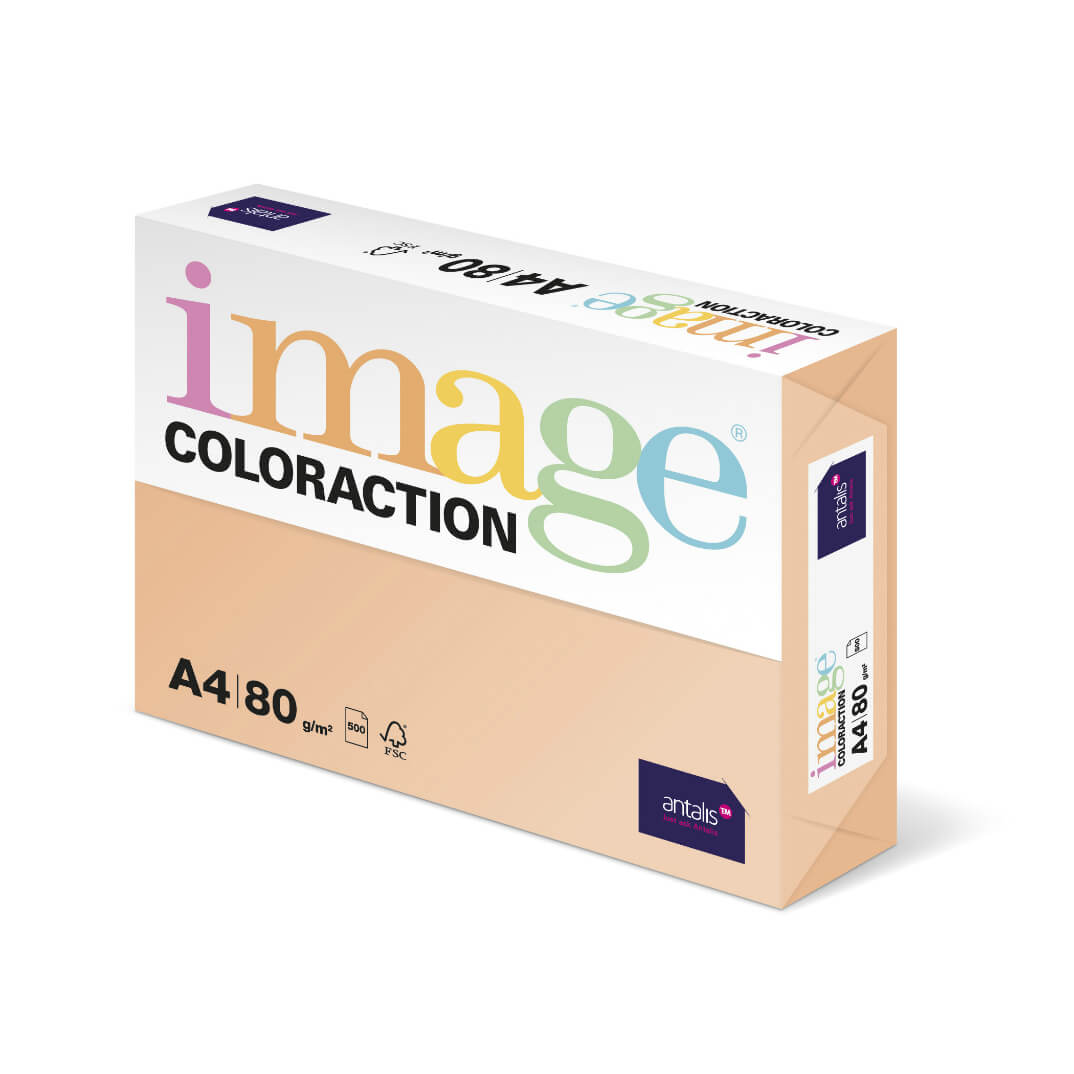 Paquete cartulina A4 160g salmón savana SA24