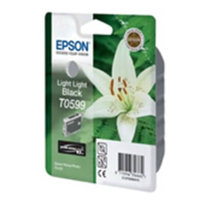 Ink-jet Epson Stylus photo R2400 gris claro