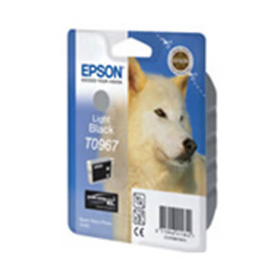 Epson cartucho gris R2880