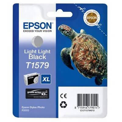 Epson cartutx injeccio R3000 gris clar