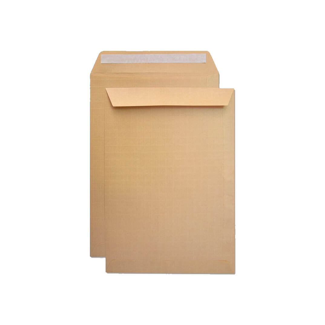 Caja de 250 bolsas caña autodex 250x353